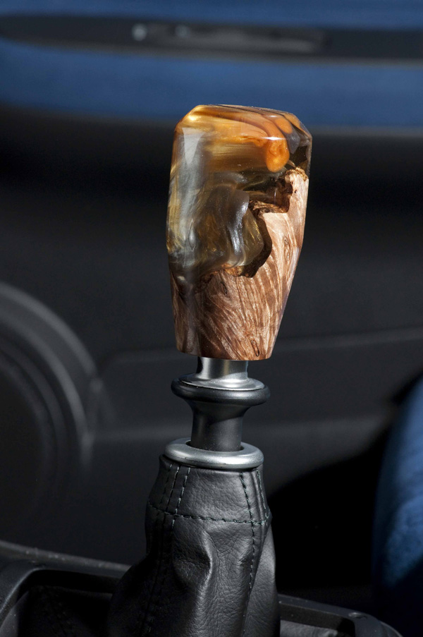 Custom Knob 27
